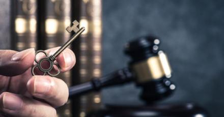 Services Illustration